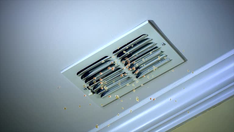 Air Duct Mold Removal in Parks, AZ
